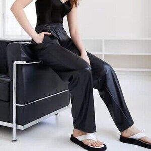 Aritzia Babaton Black Vegan Leather Pants Straight cut size 4